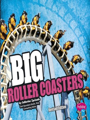 cover image of BIG Roller Coasters